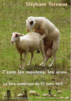 livre 26 